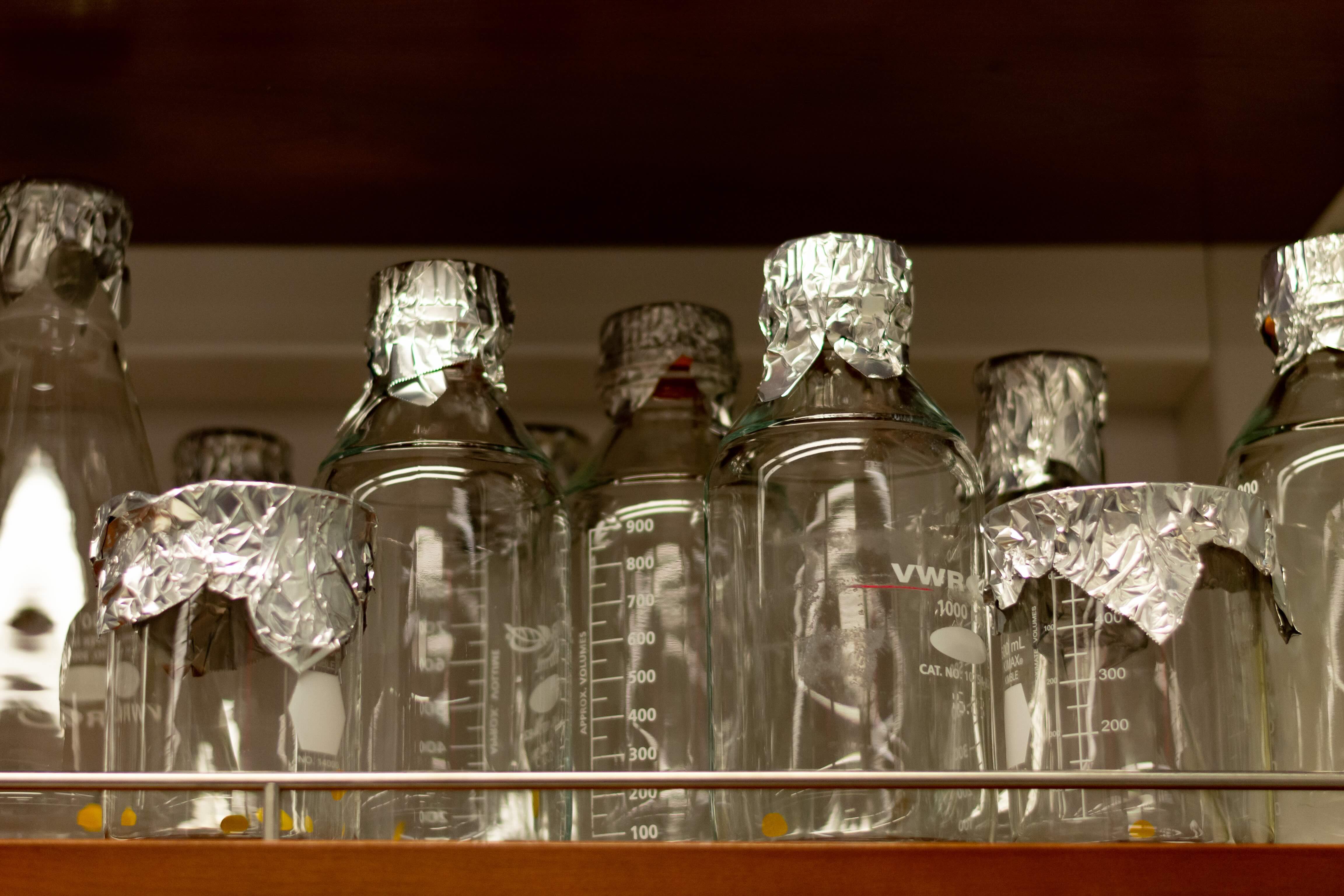 Sterile Media Bottles